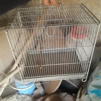 قفس سهره نو