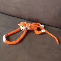 عروس ک های نو|اسباب‌بازی بچه|گلبهار, شهر جدید گلبهار|دیوار