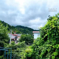 نیسان بار .وانت بار .خاور .کامیون