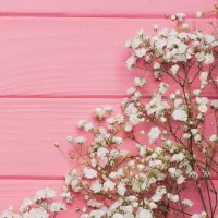 استخدام منشی و اصلاحکار