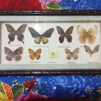 تابلو|تابلو، نقاشی، عکس|تهران, ولنجک|دیوار