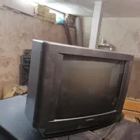 تلویزیون