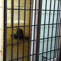 جوشکاری سیار