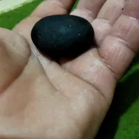 دیوار|حراج|رشت, رودباری|دیوار