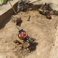 هرس وکارهای کشاورزی