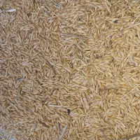 جو طارم|لوازم جانبی حیوانات|گیلوان, |دیوار