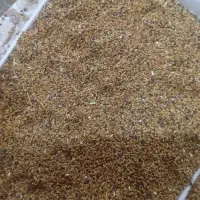 فروش یونجه با کاشت یک بار ۱۲ سال برداشت