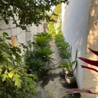 ویلاباغ جنگلی / مستقل / مدارک کامل|فروش خانه و ویلا|امامزاده عبدالله, |دیوار