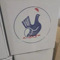 پخش تخم مرغ