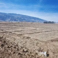 فروش زمین کشاورزی