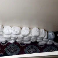 دستمال کاغذی|مواد شوینده و دستمال کاغذی|تهران, پرستار|دیوار
