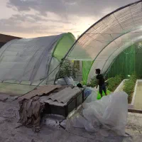 سازه گلخانه|عمدهفروشی|شیراز, شریفآباد|دیوار