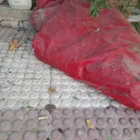 چادر