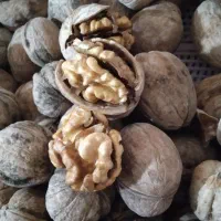 گردو درجه یک