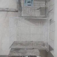 قفس مرغ عشق قناری فنج