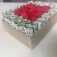 شناژ کار میخوام، از فردا شروع به کار کنه