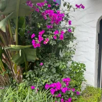 مغازه ۳۱متری بر اصلی لواسان