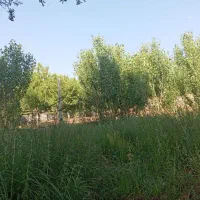 باغ 15ساله سیمین زاغه