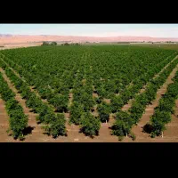 خدمات تخصصی باغبانی و گیاه‌پزشکی