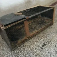 قفس مرغ بلدرچین خرگوش