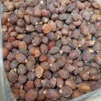 خرمای خاصویی درجه یک بدون شهد بصورت عمده|خوردنی و آشامیدنی|تهران, سلسبیل جنوبی|دیوار