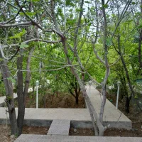 اجاره باغ در مهریز