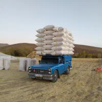 خرید و فروش کاه گندم و جو و یونجه