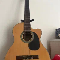 گیتار آریا پیک اپ خور اصلی