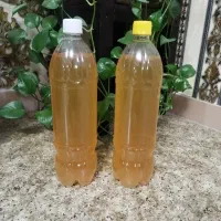آبغوره تازه، خالص وکاملا بهداشتی وخوش طعم