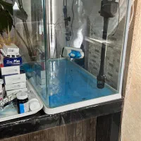 آکواریوم مارک آکوا نو نو سالم با تمام لوازم وچمن|ماهی|نوشهر, |دیوار