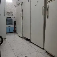 فریزر سالم پارس