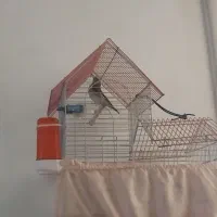 سهره کرمانی بخون