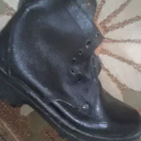 پوتین نوحراج فقط دویست