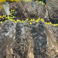 خریدار مو خریدار اصلی
