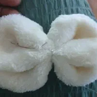 پاپیون تدی