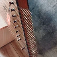 سنتور موسوی آلپی گردو مکزیکی|سازهای سنتی|قزوین, |دیوار