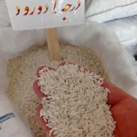 برنج درود درجه یک به شرط پخت