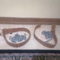 دو عدد قلاده مخصوص سگ نو نو به همراه زنجیر