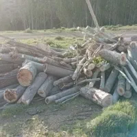 خرید و فروش انواع چوب.