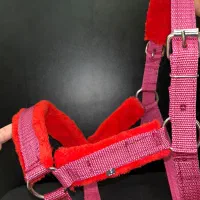 کله گیر پا آخوری اسب و گاو|اسب و تجهیزات اسبسواری|لاهیجان, کوی آزادگان|دیوار