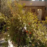 منزل اجاره ایی|اجارهٔ خانه و ویلا|قم, شهرک سازمان آب|دیوار
