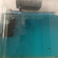 آکواریوم شیشه خم