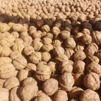فروش گردو الو کشمش و بادام بوانات|خوردنی و آشامیدنی|شیراز, شهرک بهار|دیوار