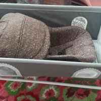 گهواره وکریر|کالسکه و لوازم جانبی|مبارکه, |دیوار