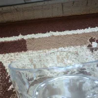 میوه خوری فرانسوی|ظروف سرو و پذیرایی|مشهد, سرافرازان|دیوار