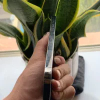 iphone 13 pro max|موبایل|ارومیه, |دیوار