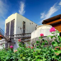 استخدام نیروی مسلط به امور بازرگانی