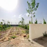 باغچه-چسب-بافت-سهیلیه-زعفرانیه-دولت-آباد