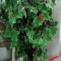 درختچه ی مصنوعی|گل مصنوعی|اصفهان, خواجو|دیوار