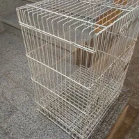 قفس بزرگ کاسکوعروس طوطی